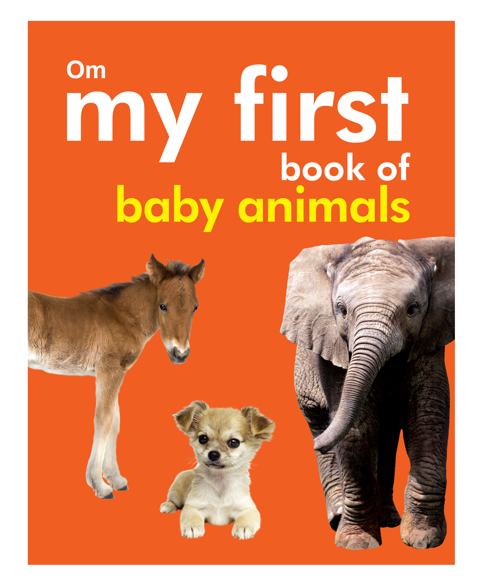 My First Book of Baby Animals Board Books - English Online in India, Buy at  Best Price from  - 10076396