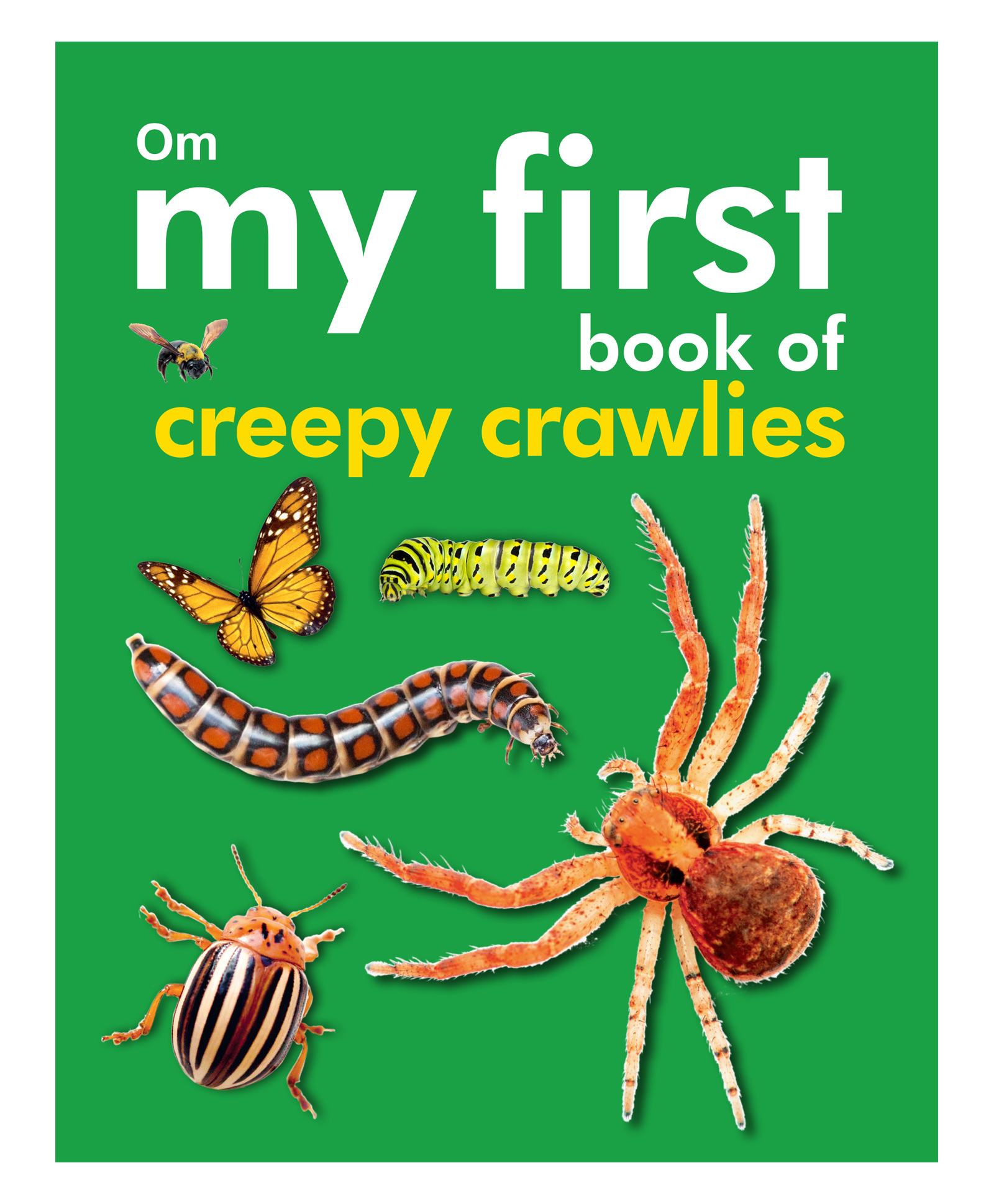 om books international My First Book of Creepy Crawlies Padded Board Book - English-picture-31