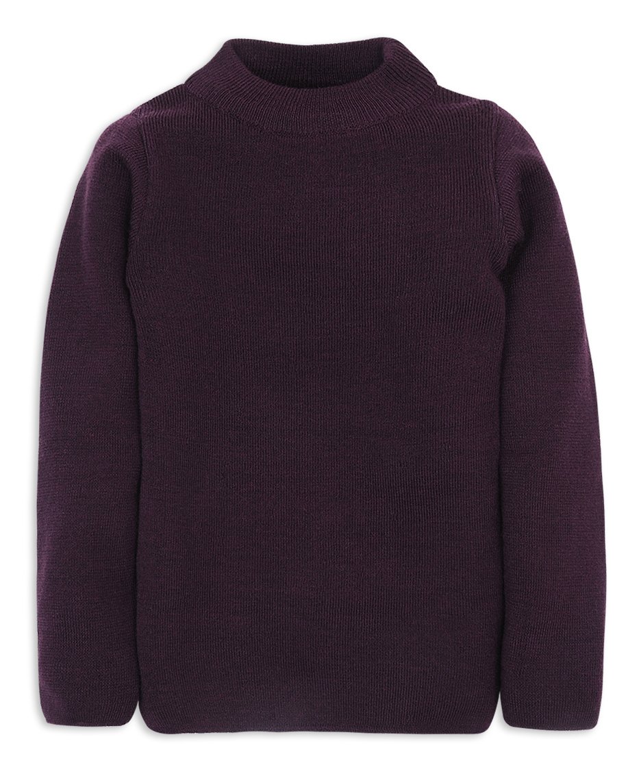 RVK Full Sleeves Solid Colour Sweater - Violet-picture-37