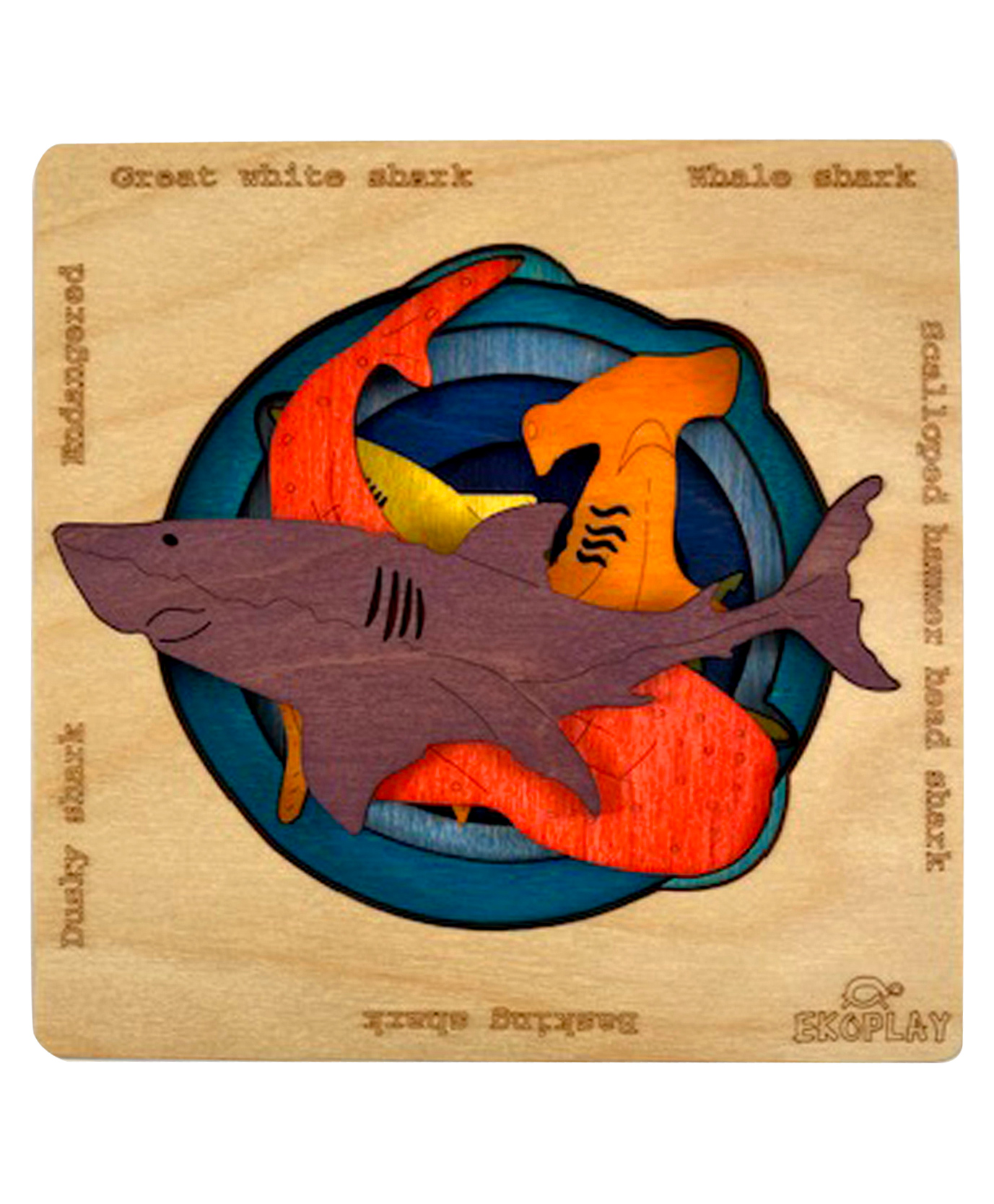 Ekoplay Endangered Sharks Wooden Board Puzzle Multicolour - 5 Pieces-image-23