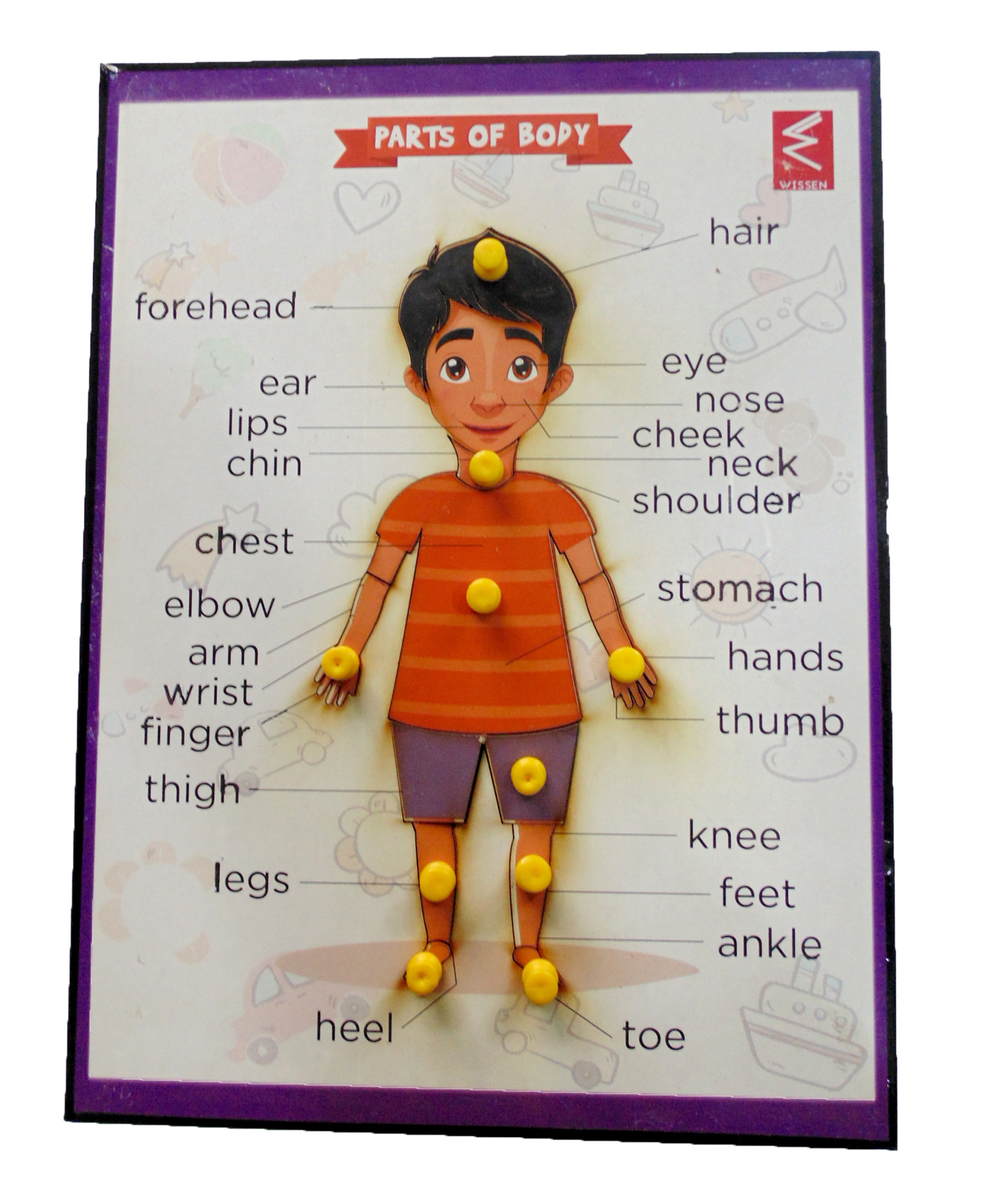 WISSEN Wooden Parts of Body Educational Knob and Peg Puzzle Multicolor - 10 Pieces-picture-11