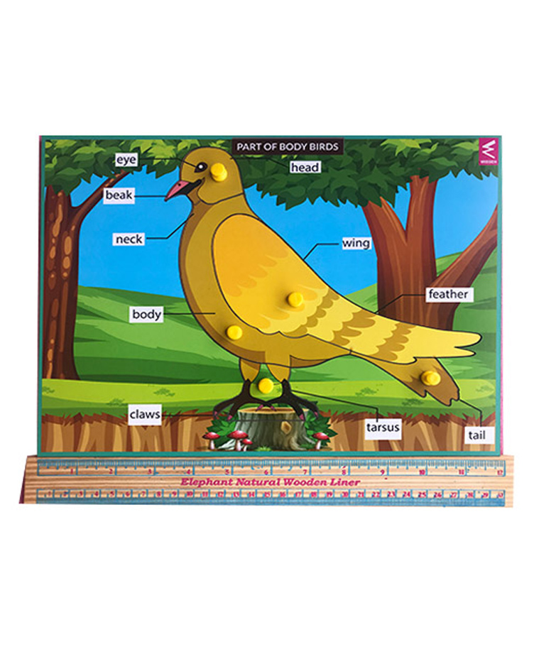 WISSEN Wooden Birds Parts Knob and Peg Puzzle Multicolor - 5 Pieces-picture-34