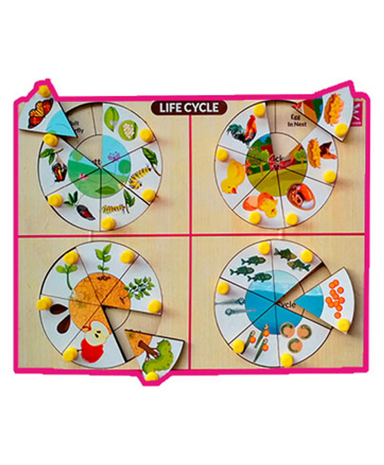 WISSEN Wooden Life Cycle Knob Peg Inside Board Puzzle Multicolor - 24 Pieces-picture-26