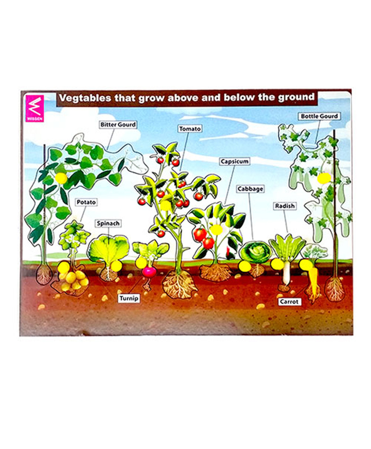 WISSEN Vegetables Block Puzzle - 10 Pieces-picture-43