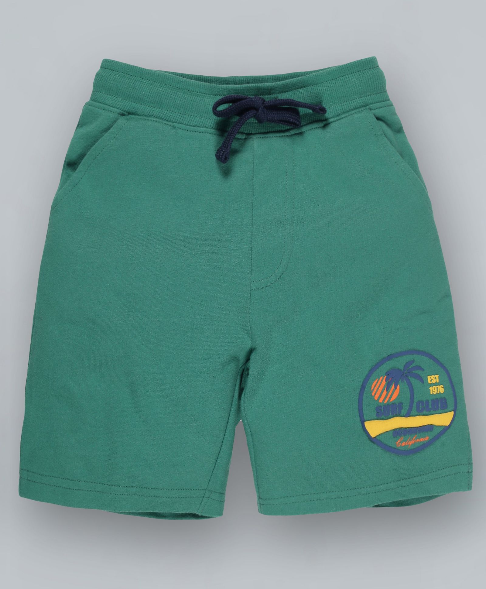 Plum Tree Palm Tree Patch Shorts - Green-picture-27