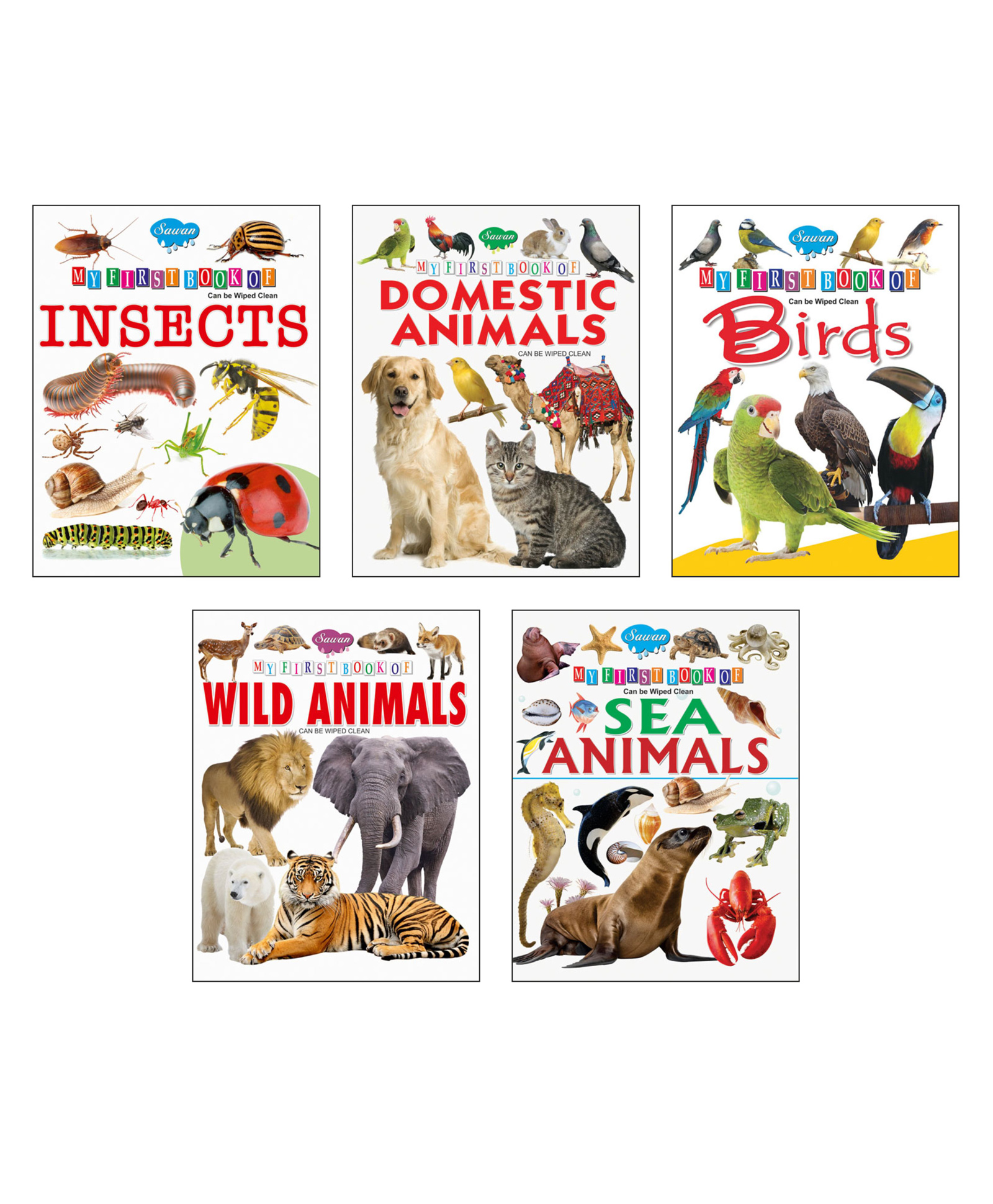 sawan Picture Books Collection for Early Learning Set of 5 - English-picture-13