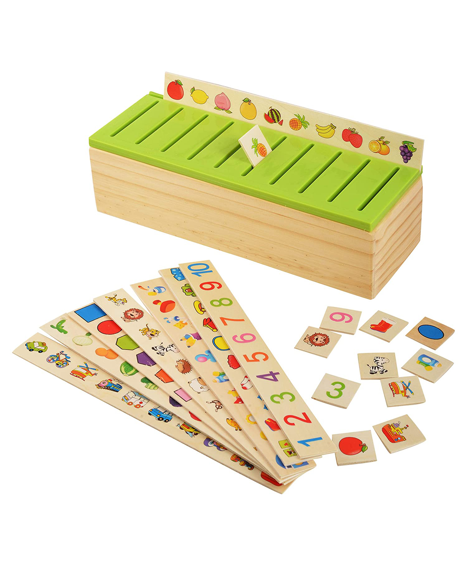 Trinkets & More Knowledge Classification Box Multicolour - 80 Pieces-image-28