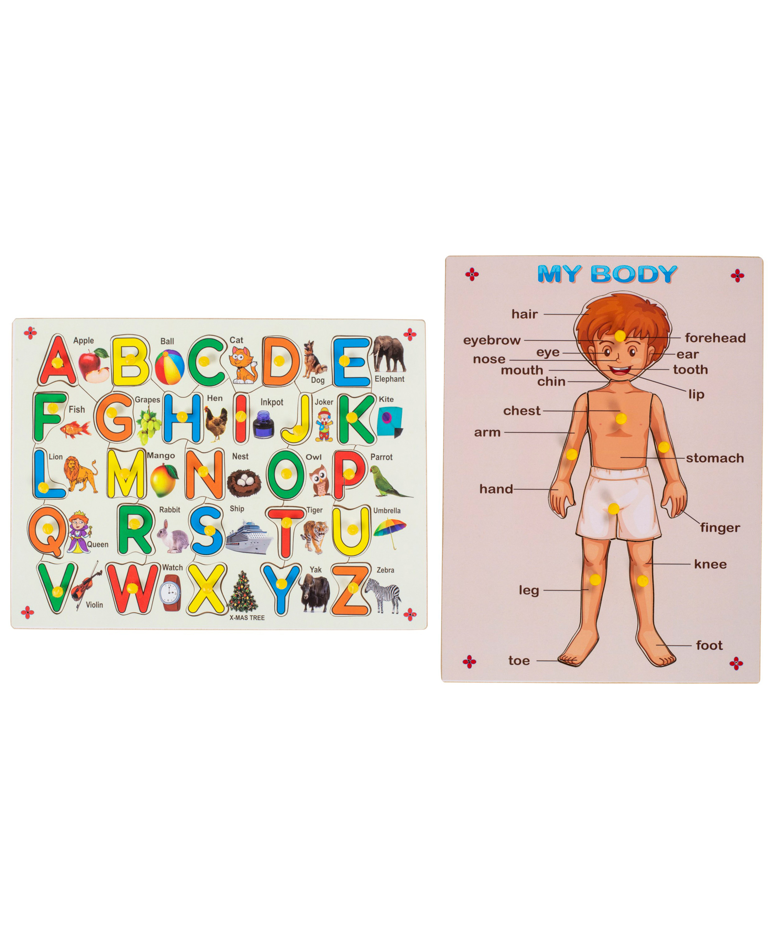 MYFA Wooden English Alphabet & Body Parts Knob & Peg Puzzle Combo - 32  Pieces Online India, Buy Puzzle Games & Toys for (3-6 Years) at  FirstCry.com - 11172406