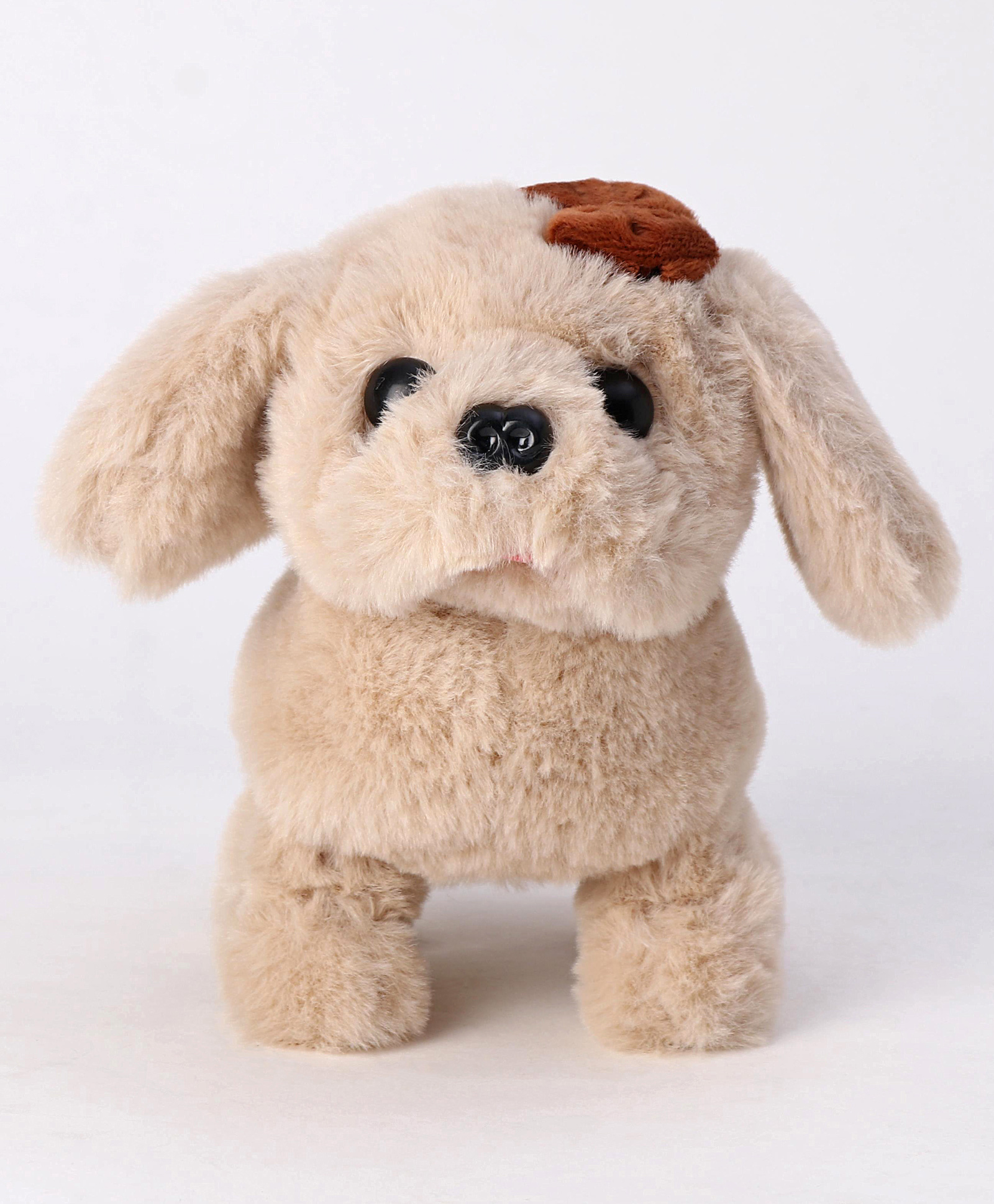 Aarohi Musical Dog Soft Toy Beige - Height 15 cm-image-48