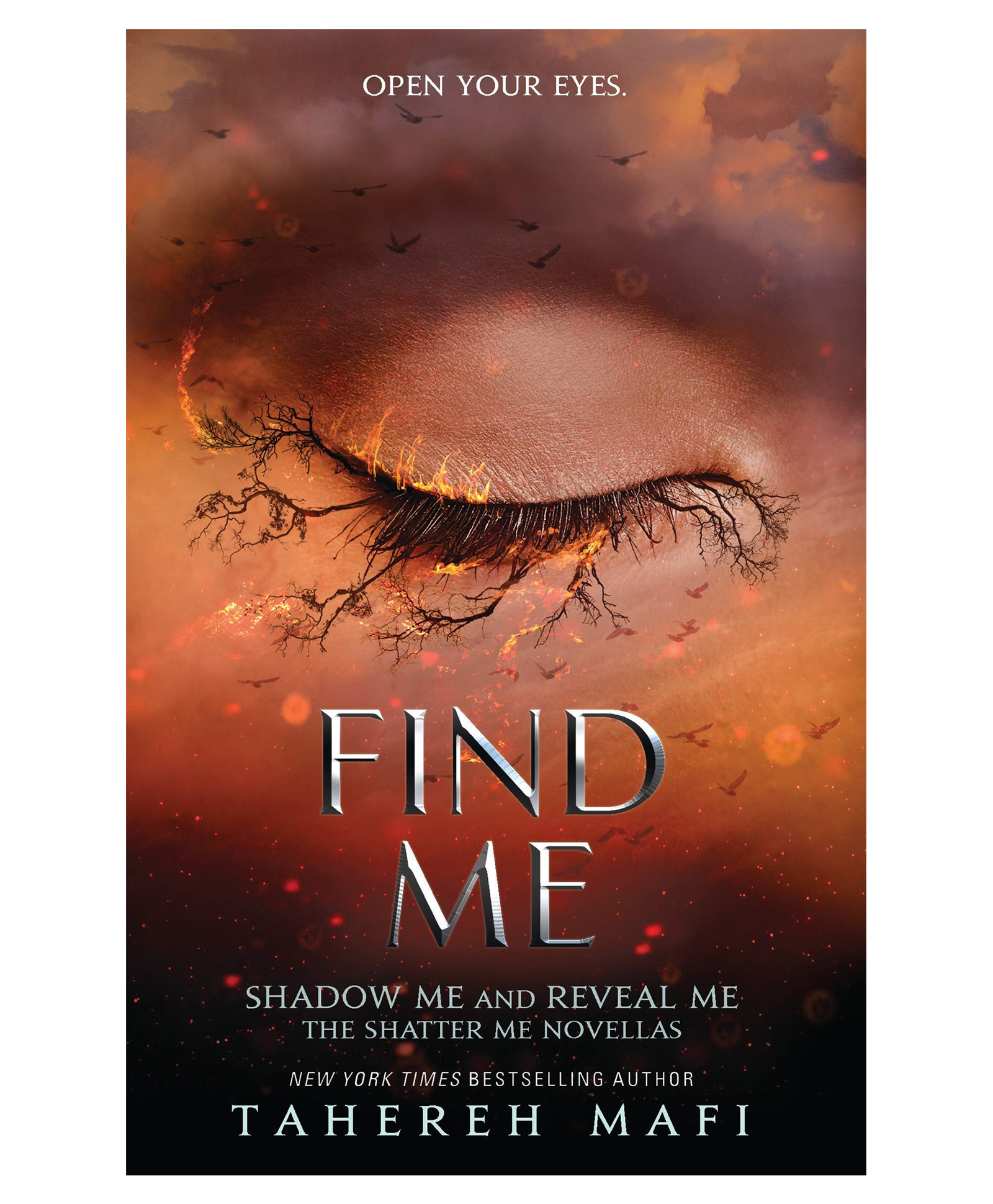 Find Me Story Book - English-image-12