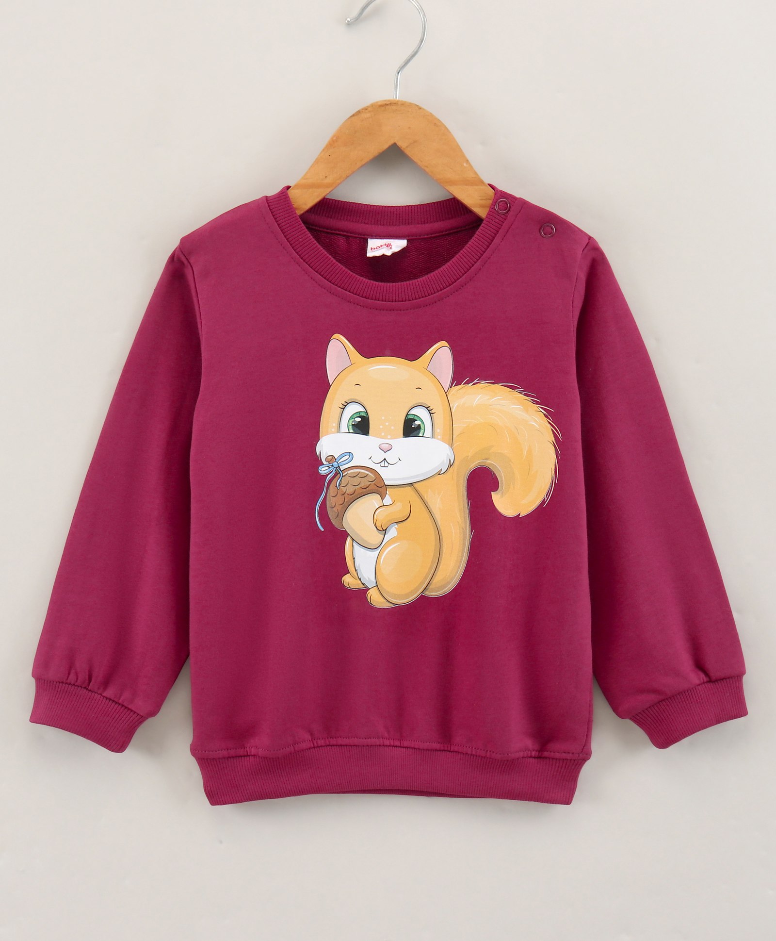 Babyhug Full Sleeves Knit Sweatshirt With Graphics- Maroon-picture-20