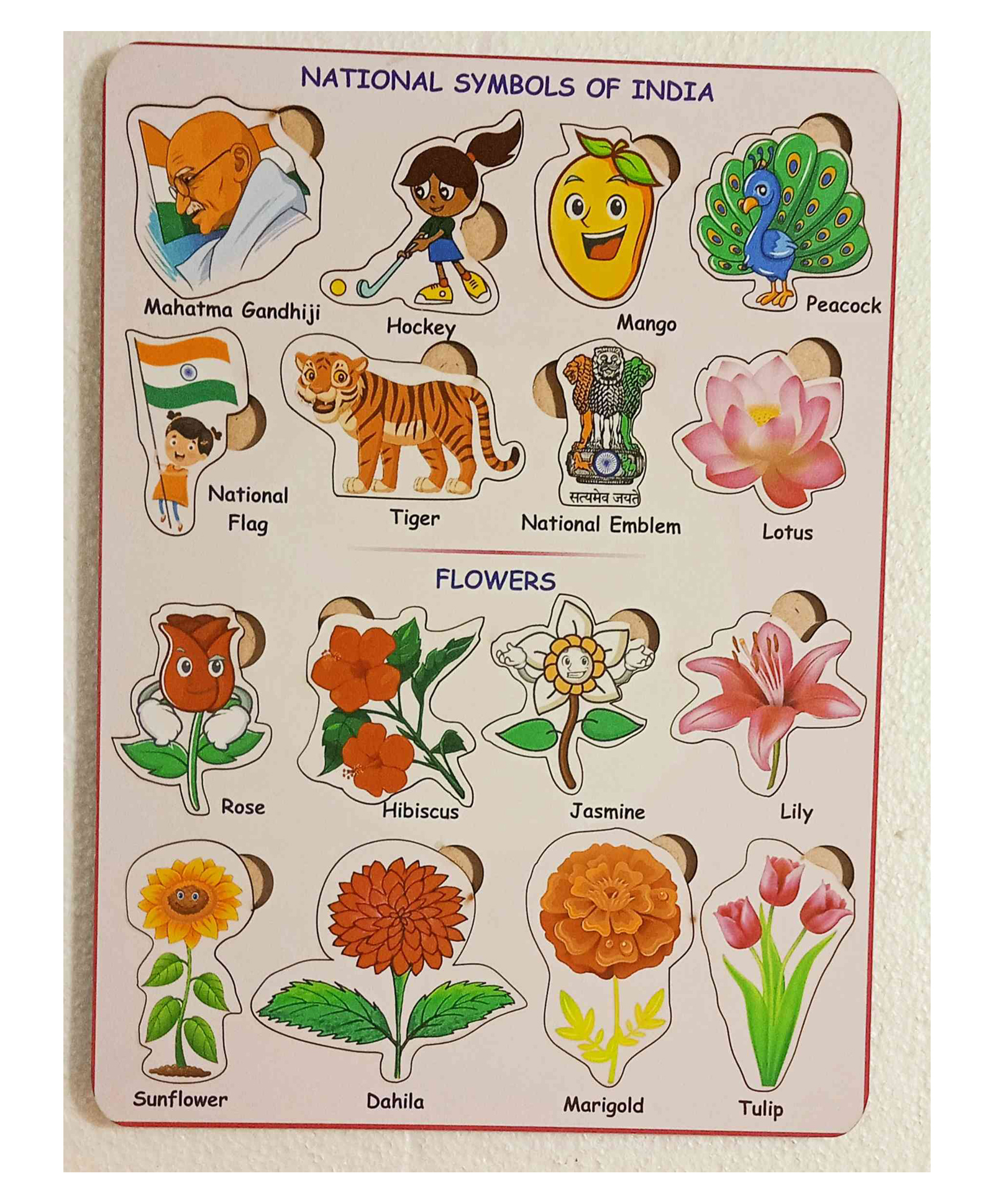 Fingo Brain Wooden Board Puzzle ( National Symbols of India and Flower) Multicolour - 16 Pieces-picture-45