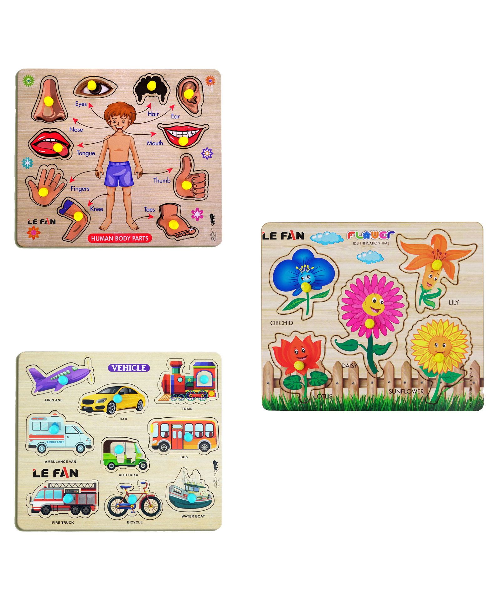 Mingkids Kids Fort Pre Nursery Educational Jigsaw Puzzles Set of Human Body Parts, Flower & Vehicle - 26 pieces-image-40