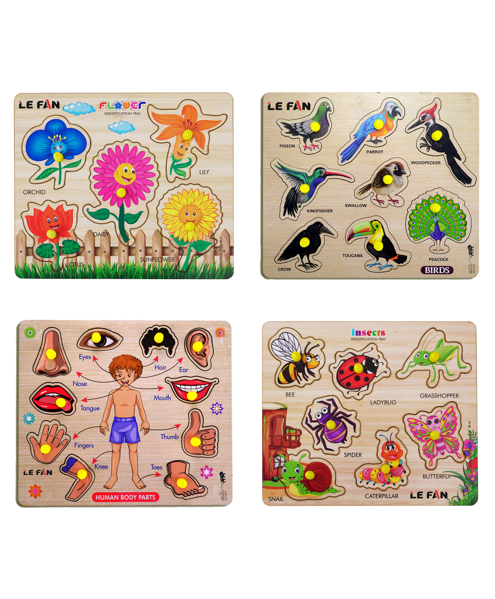Mingkids Puzzles Flower Birds Human Body Parts & Monuments of India Pack of 3 - 30 Pieces-image-32