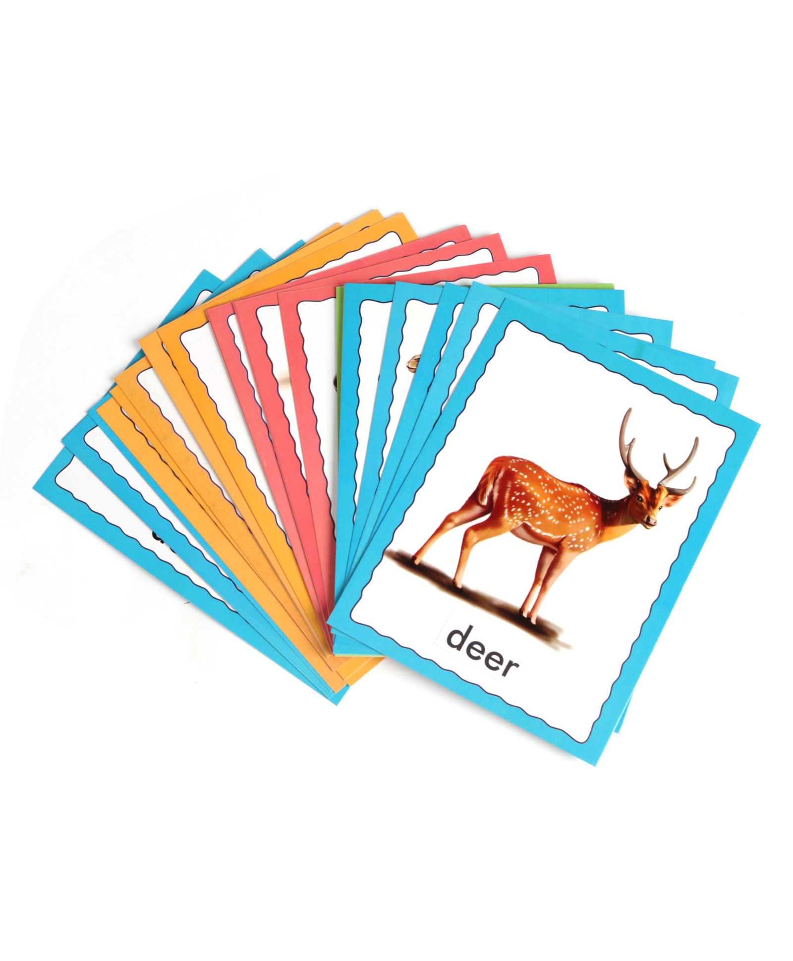 Creative Discover Animals Flash Cards - 36 Cards Online India, Buy Educational Games for (3-6 Years) at - 1195526 Creative Discover Animals Flash Cards - 36 Cards Online India, Buy Educational Games for (3-6 Years) at - 1195526