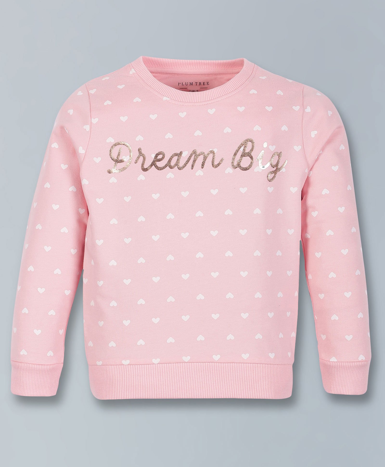 Plum Tree Full Sleeves All Over Heart With Dream Big Text Detailed Sweatshirt - Pink-picture-27