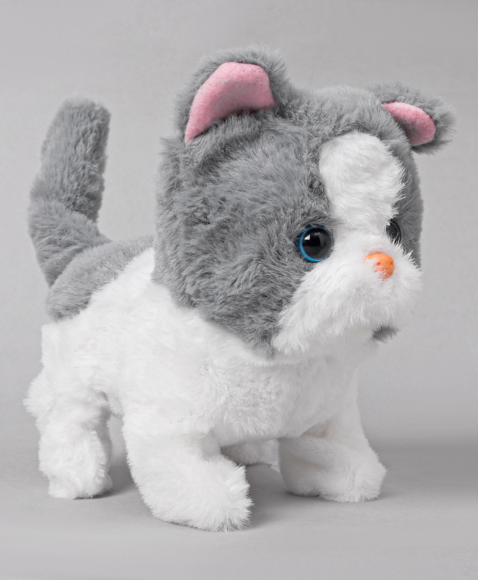 fuzzbuzz toys