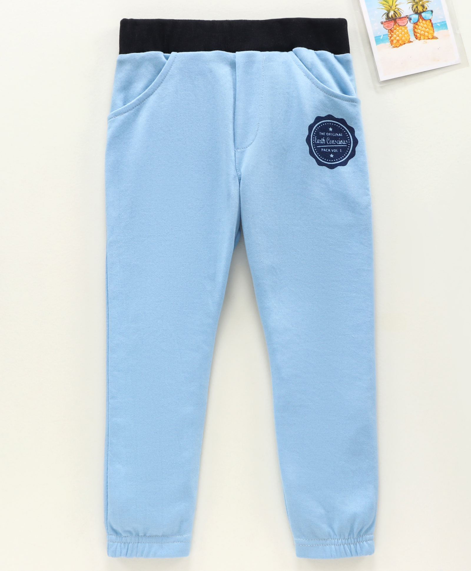 Earth Conscious Placement Printed Jogger Style Unisex Track Pant - Sky Blue-picture-23