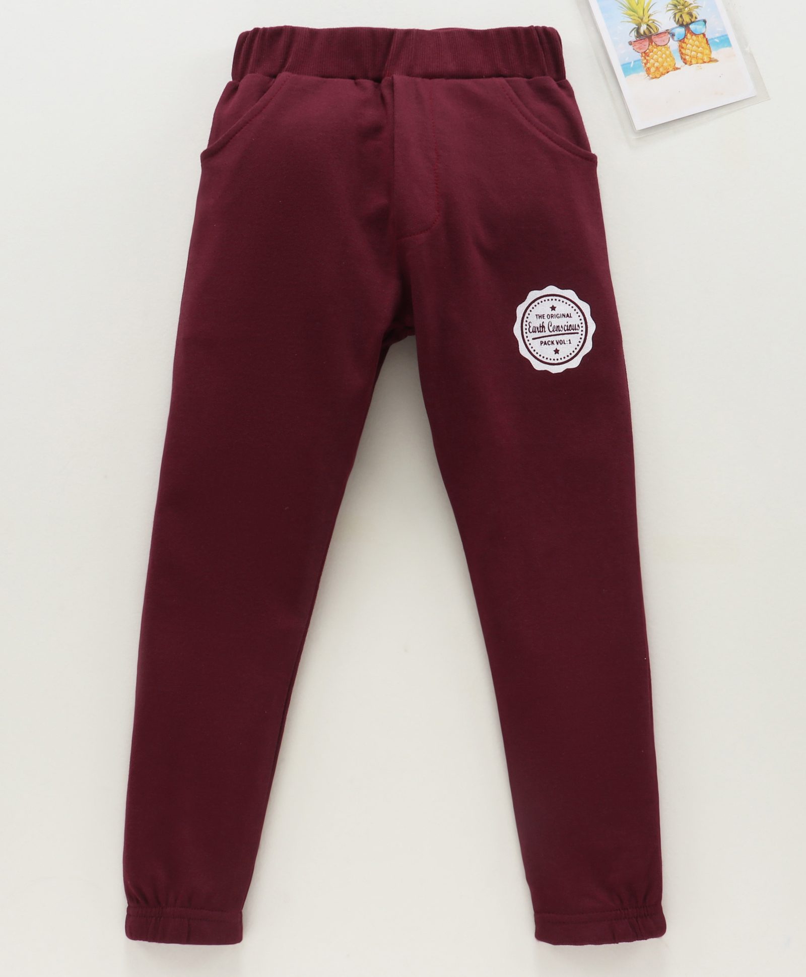 Earth Conscious Brand Name Placement Printed Track Pant - Maroon-picture-23