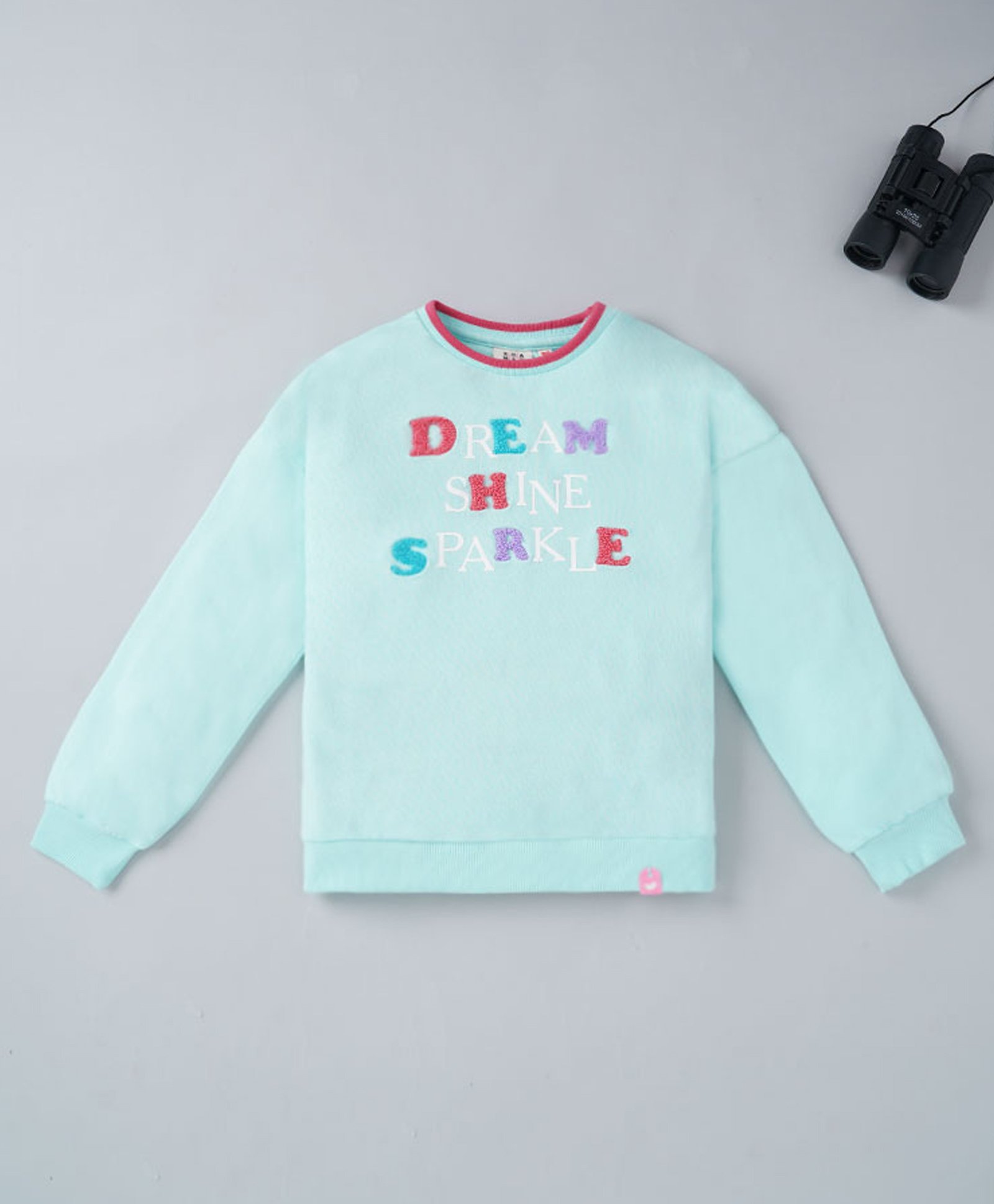 Ed-a-Mamma Cotton Full Sleeves Embroidered Text Sweatshirt - Aqua-picture-17
