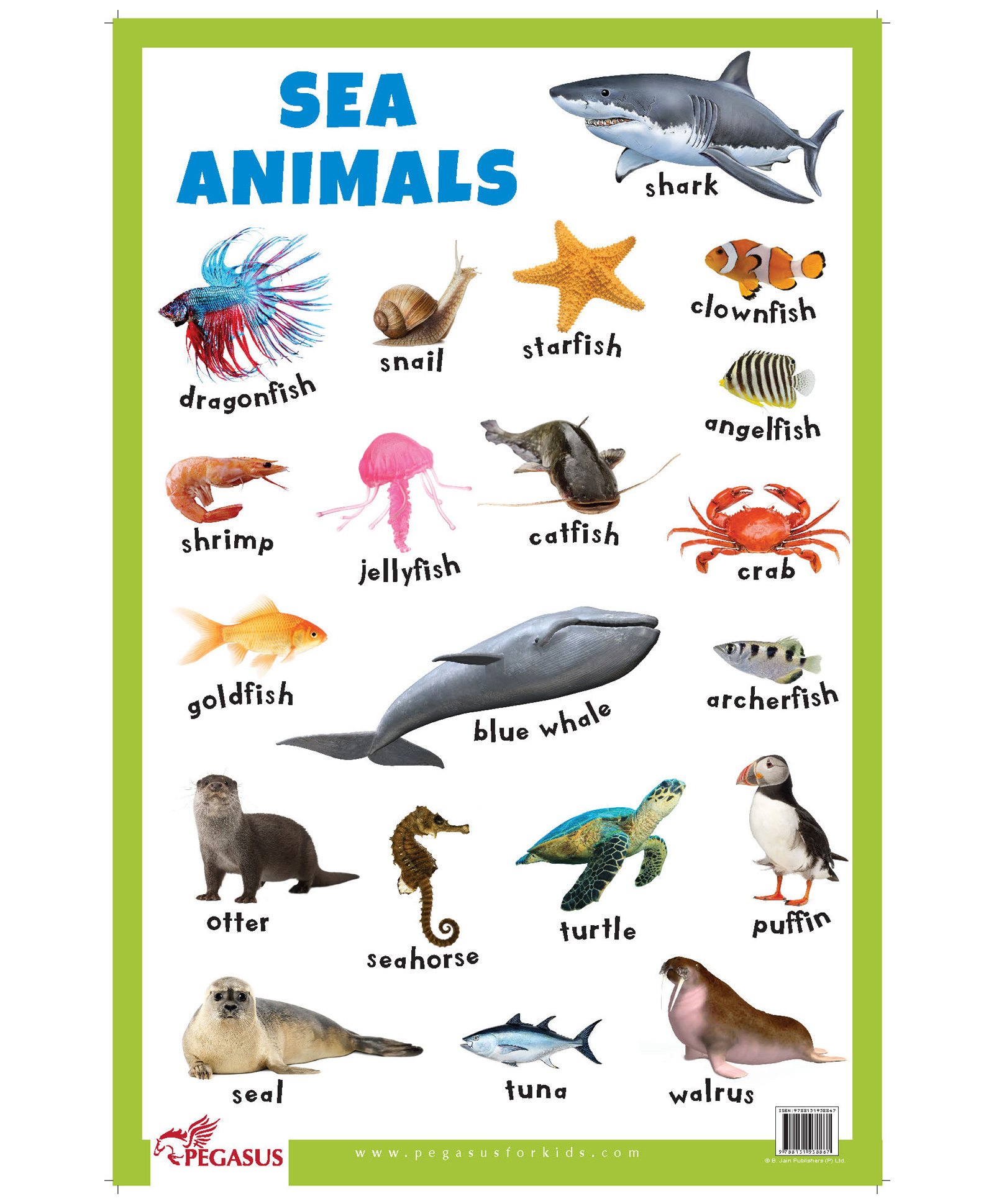 Sea Animals Educational Chart - English Online in India, Buy at Best Price  from  - 1302568