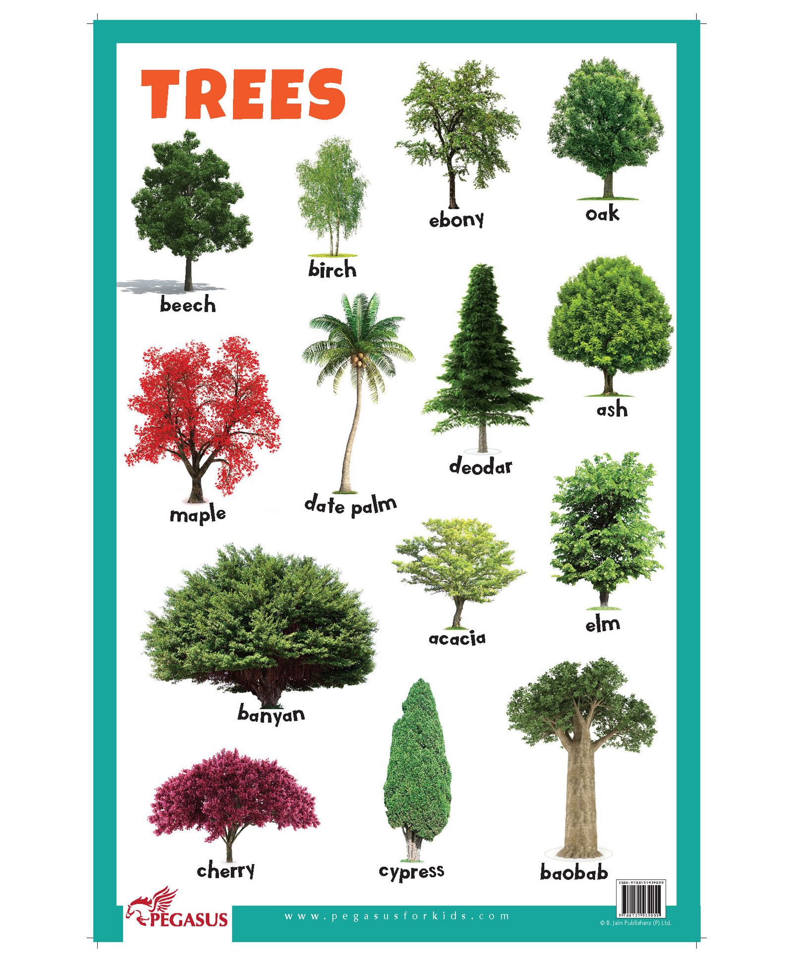 Tree Chart
