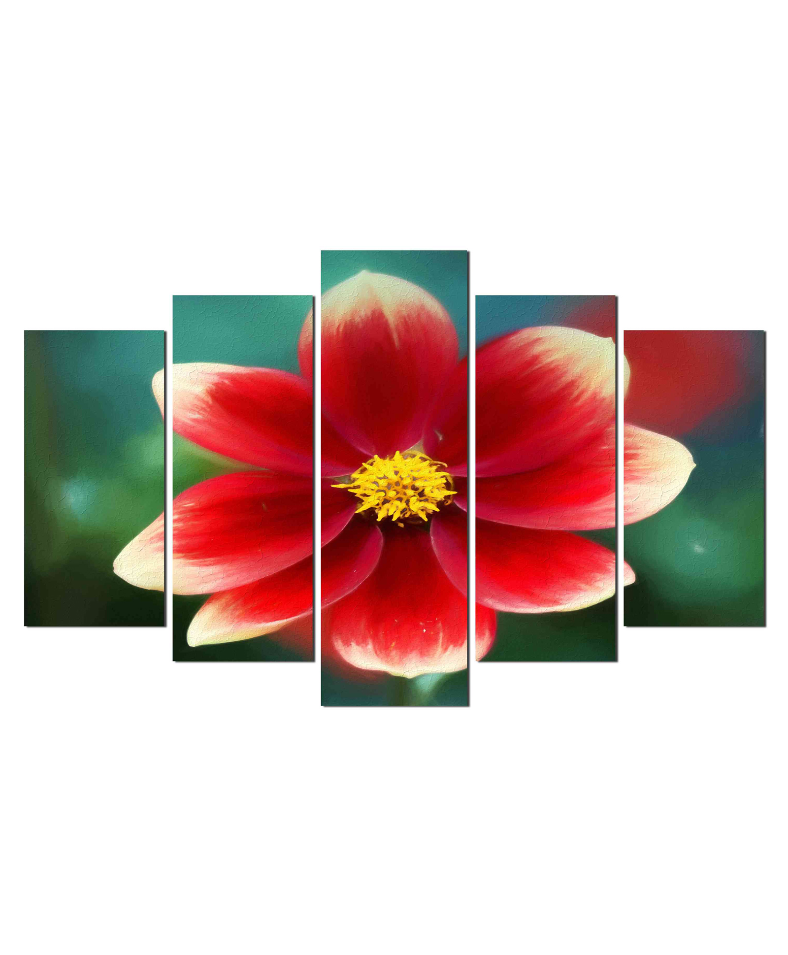 WENS Flower 5 Pieces Laminated Wall Art Panels  -Multicolor-image-18