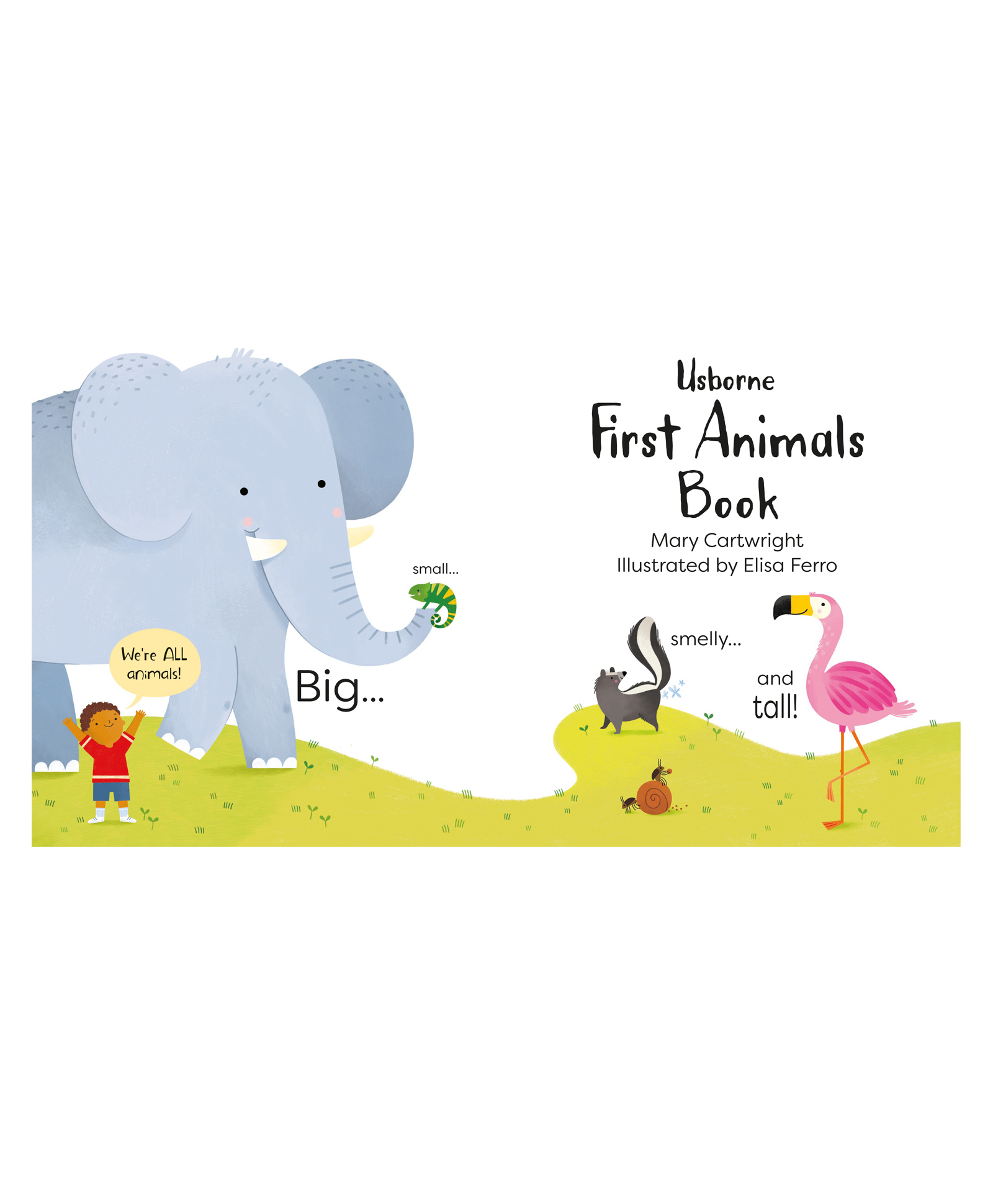 Usborne First Animals Book- English-image-36