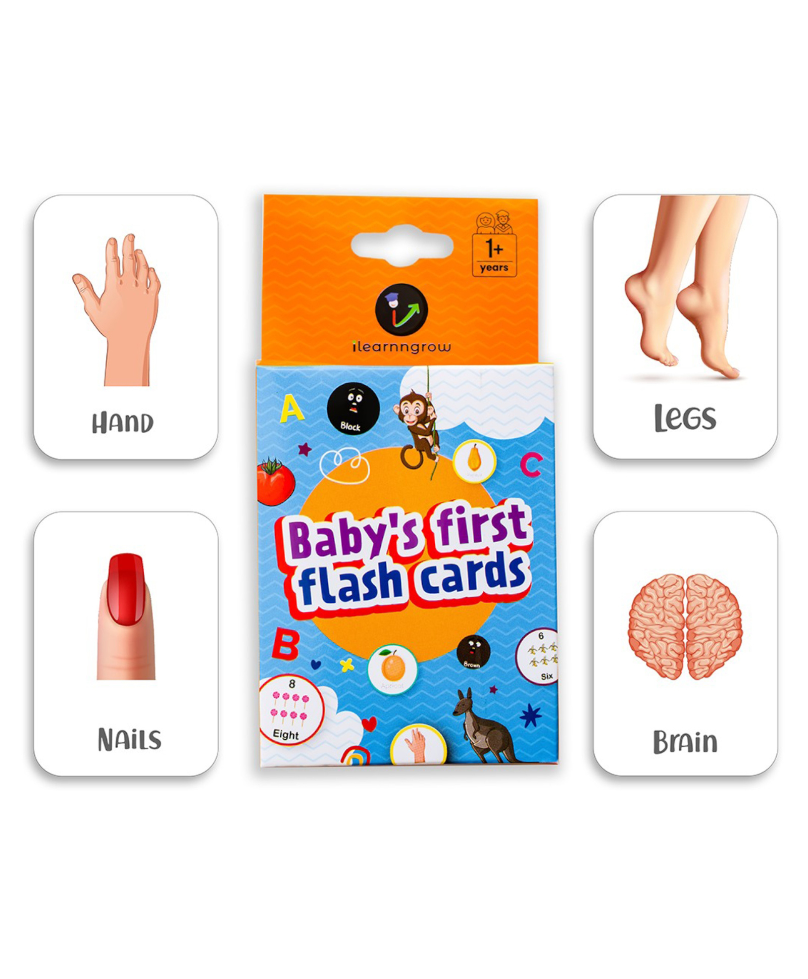 ilearnngrow Babys First Body Parts 20 Flash Cards - Multicolor-image-19