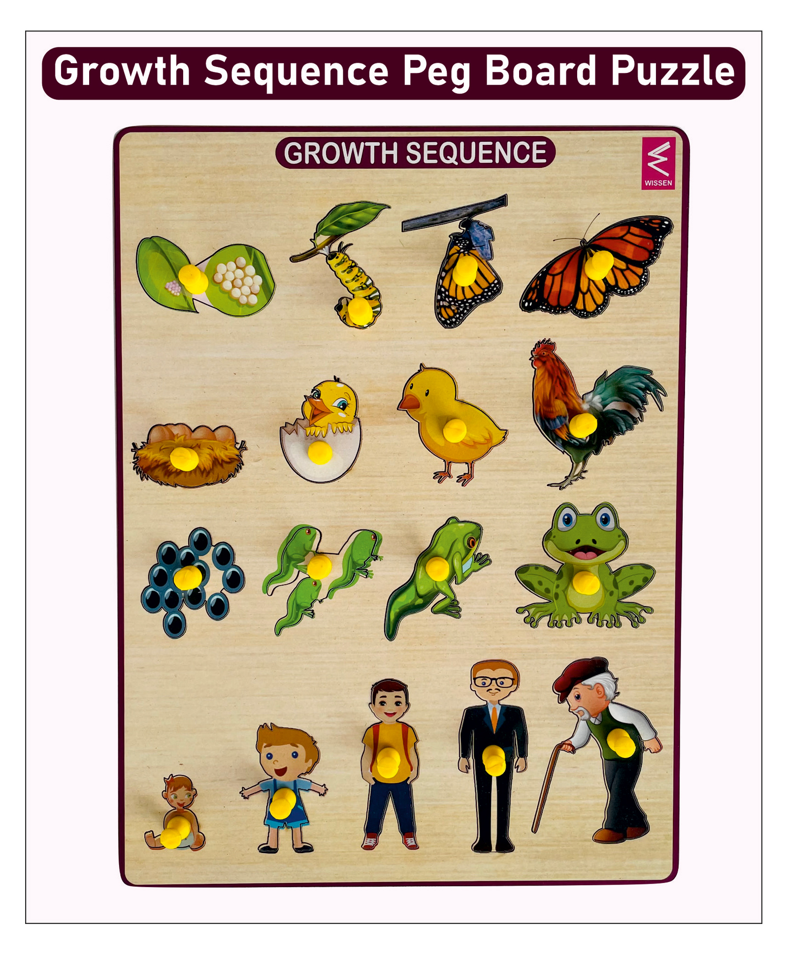 Wissen Growth Sequence Peg Board Puzzle Game- 23 cm-image-12