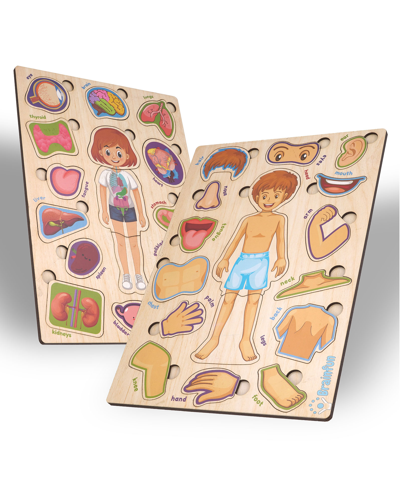 BitFeex Wooden Board Peg Big Body Part Puzzle - Multicolour-image-35