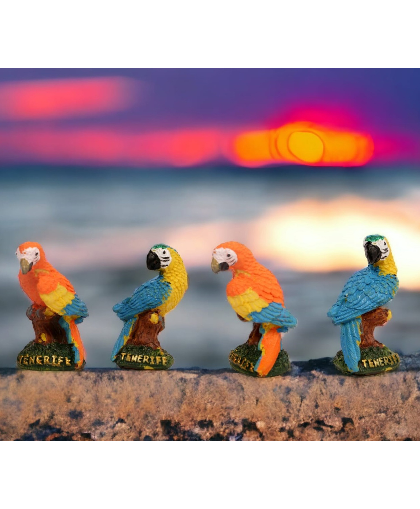 Chocozone Pack of 4 Parrot Miniatures Garden Decoration Items Indoor Garden Landscape Décor - Multicolor-picture-26
