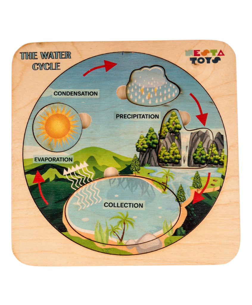 NESTA TOYS Montessori Wooden Water Cycle Puzzle - Multicolour-picture-17