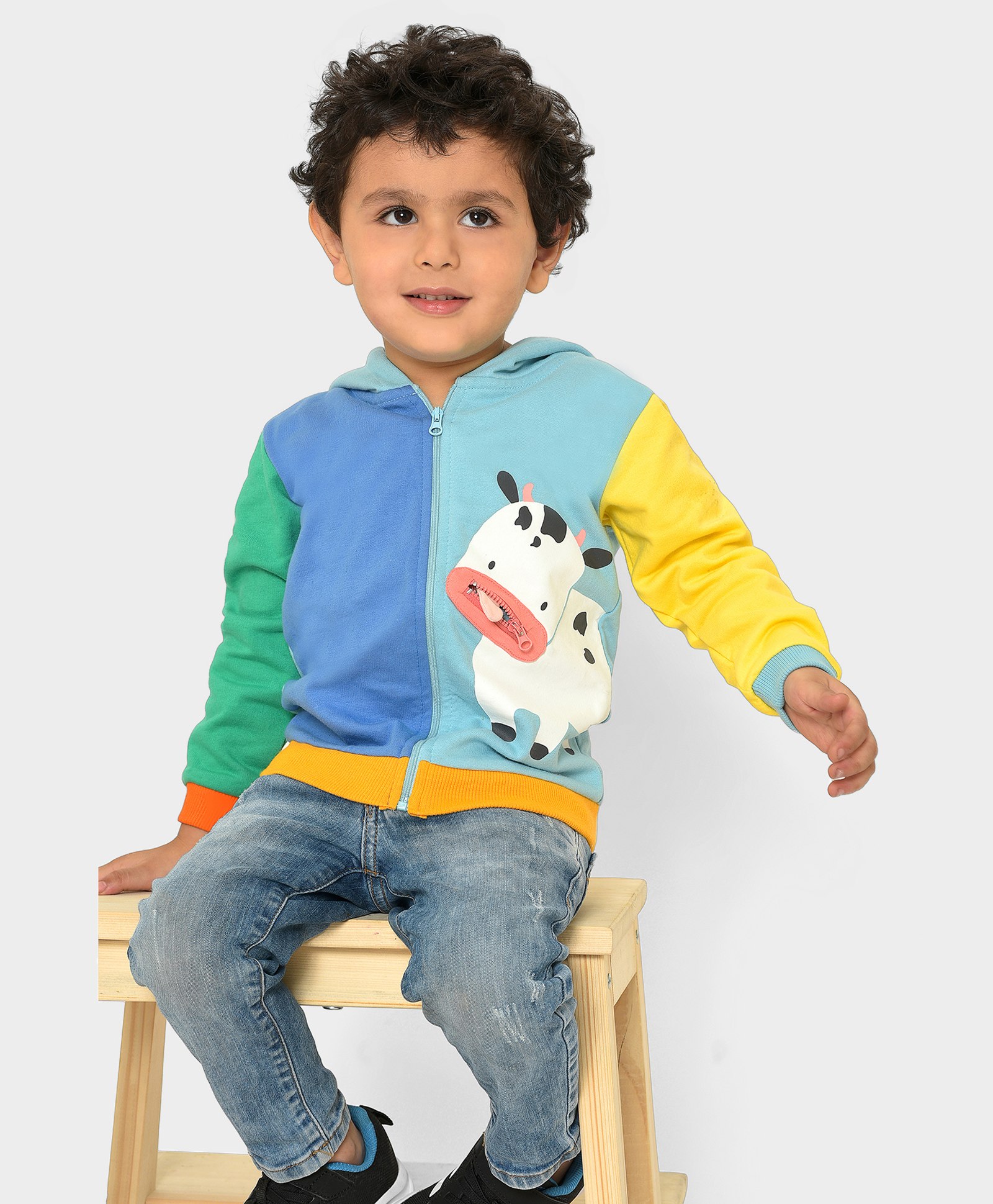 Mi Arcus Unisex Cotton Full Sleeves Color Blocked & Crow Printed Sweatshirt Multi Colour-picture-28