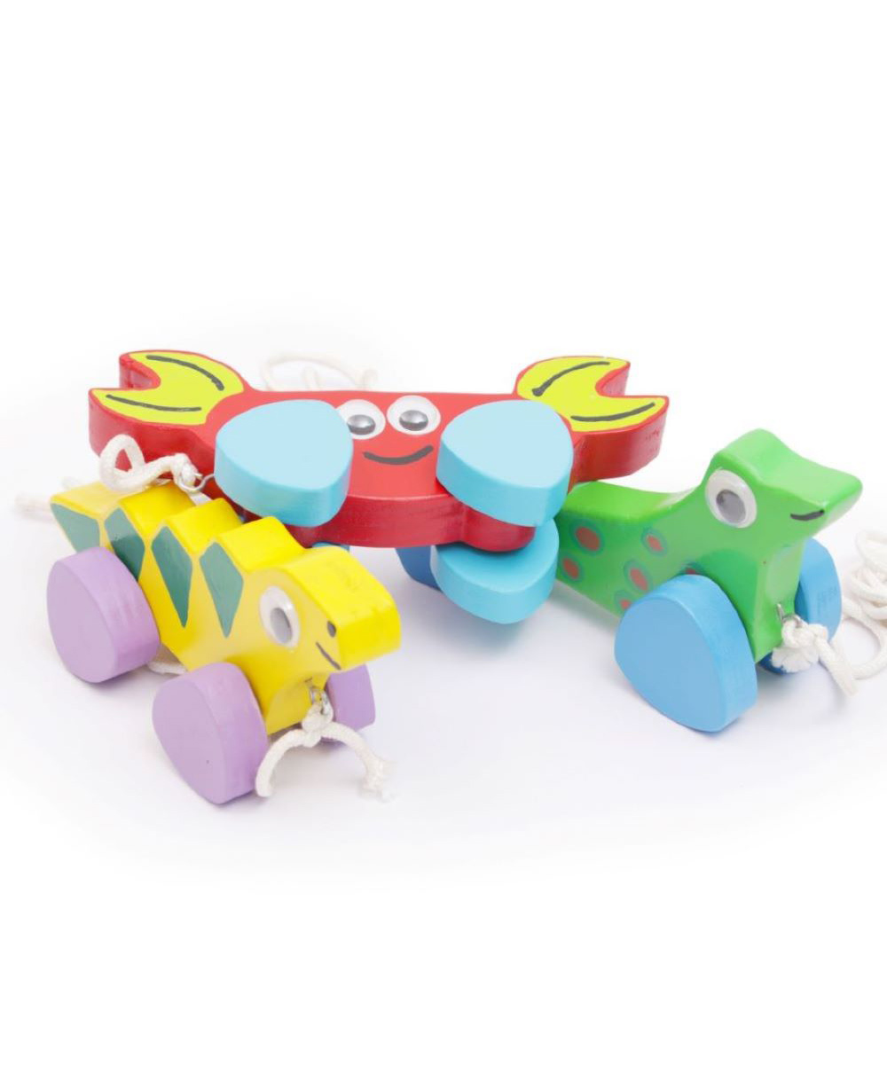 OPA Toys  Wooden Pull toy - Push toy - Pull along Toy set - Sea Animal's Combo set (CRAB, SEA LION, IGUANA). Large Size (Red, Green, Yellow, Pack of: 3)-image-29