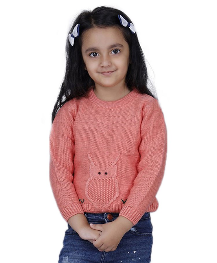 JoE Hazel Full Sleeves Owl Detailed Sweater - Coral Pink-picture-15