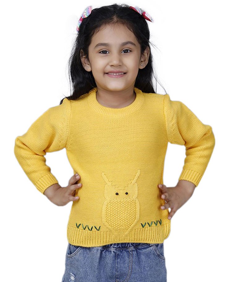 JoE Hazel Full Sleeves Owl Detailed Sweater  - Yellow-picture-16