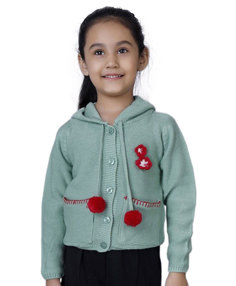 JoE Hazel Full Sleeves Pom Pom Detailed Hooded Sweater - Sea Green-picture-24