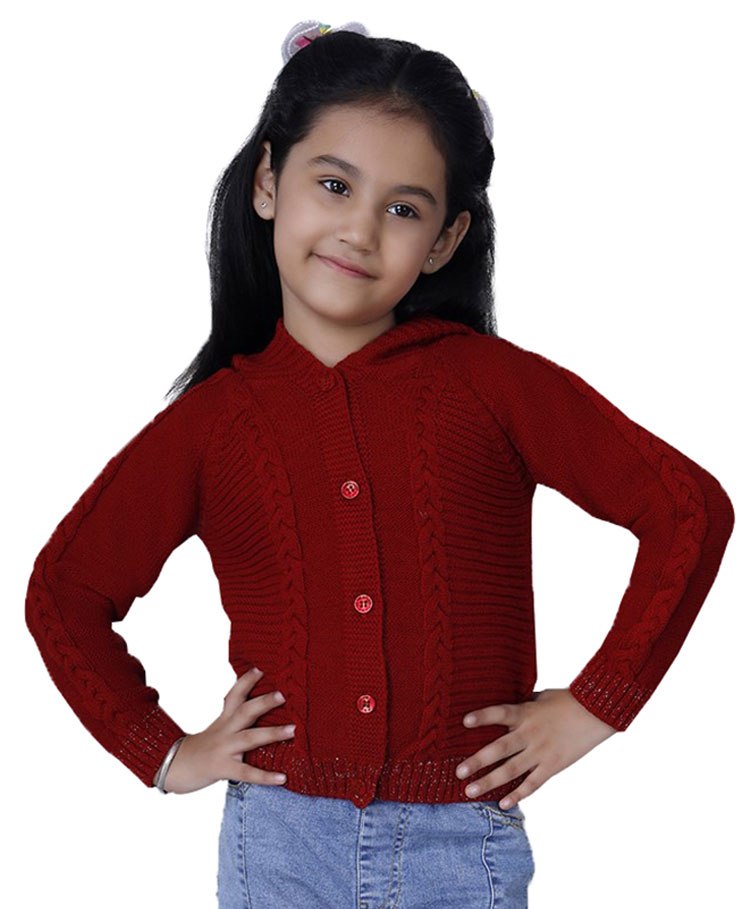 JoE Hazel Full Sleeves Woven Design Detailed Hooded Sweater - Brick Red-picture-26