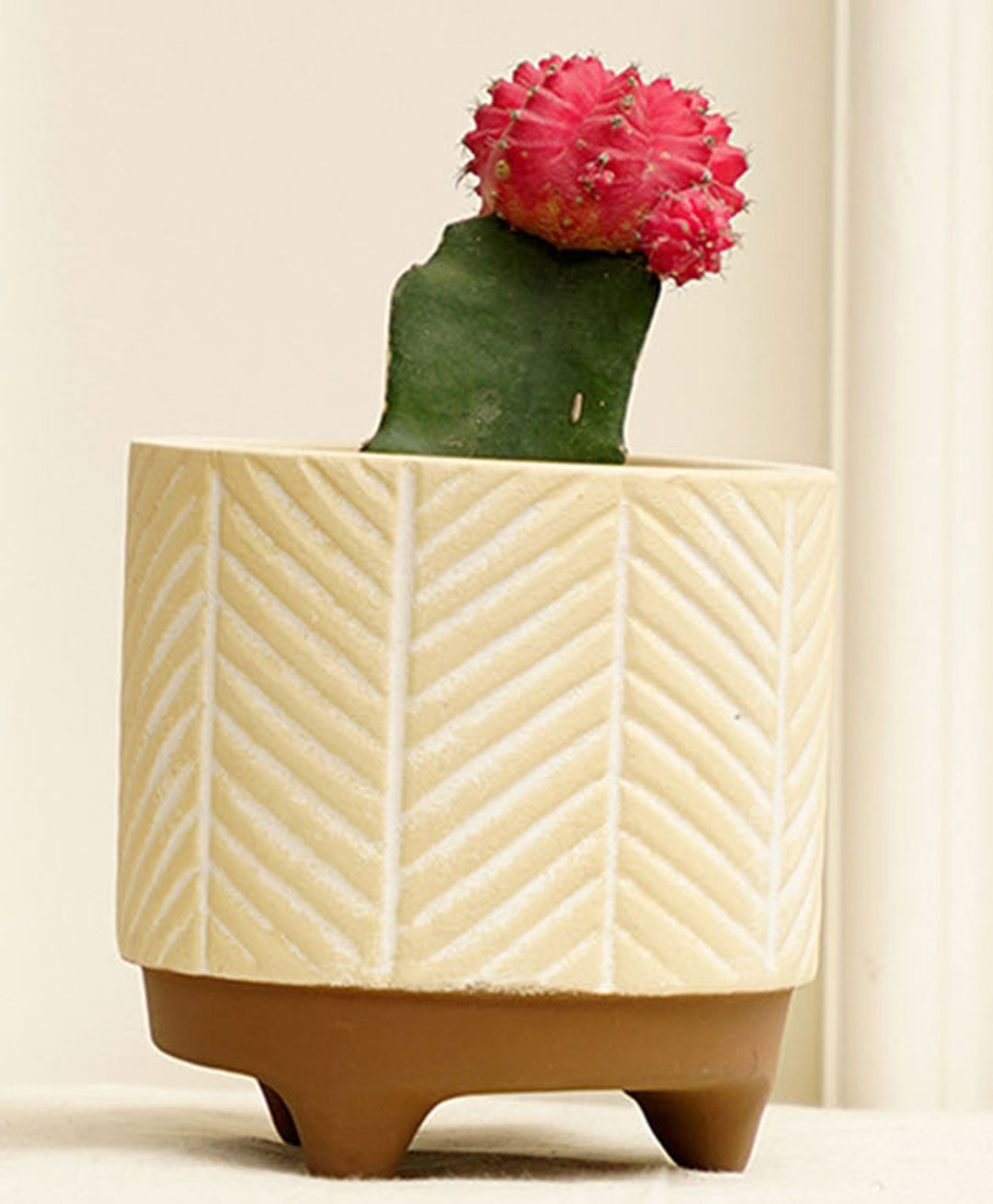 Purezento Gardenia Terracotta Planter  Model B- Cream-image-33