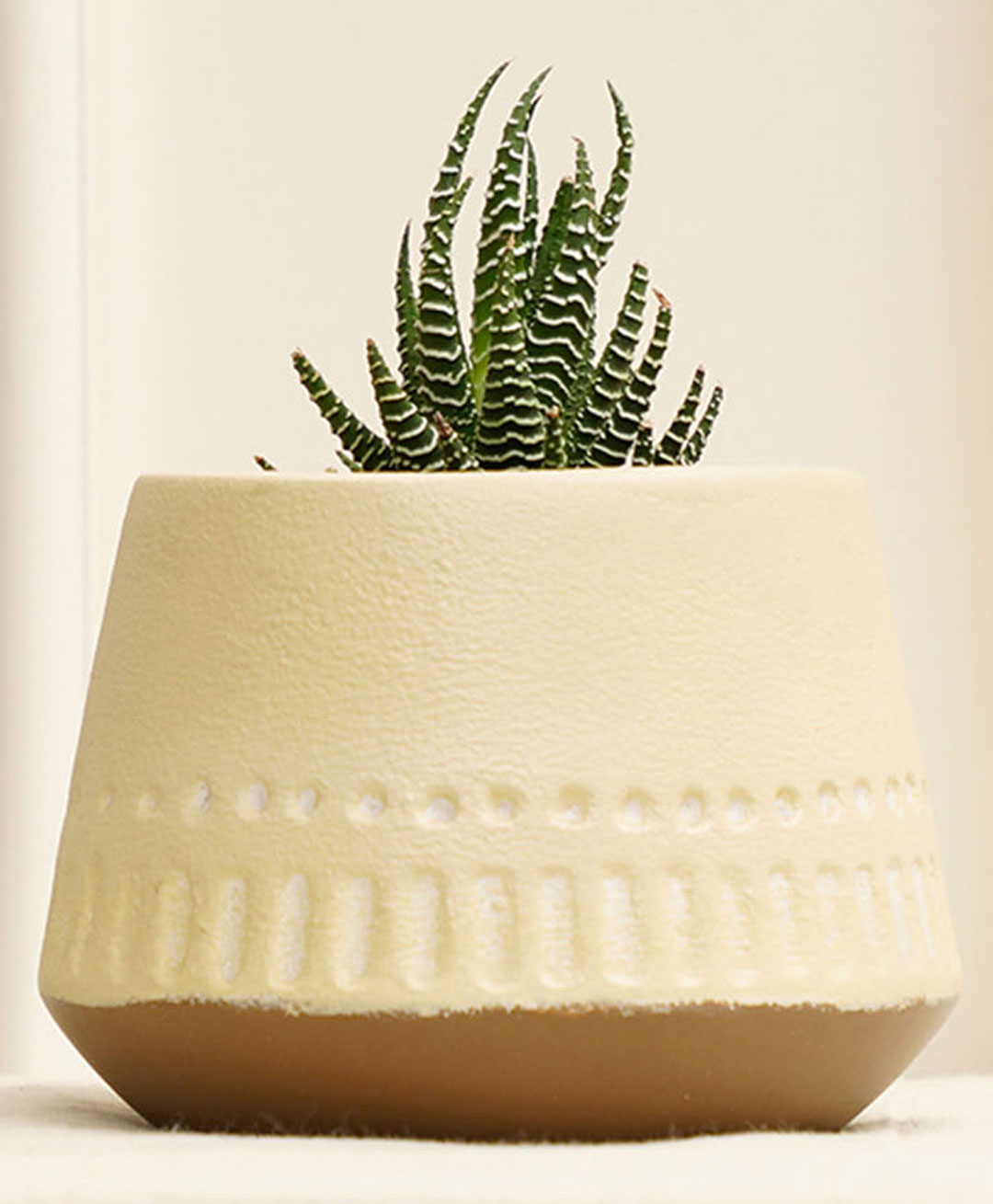 Purezento Gardenia Terracotta Planter Model D- Cream-picture-28