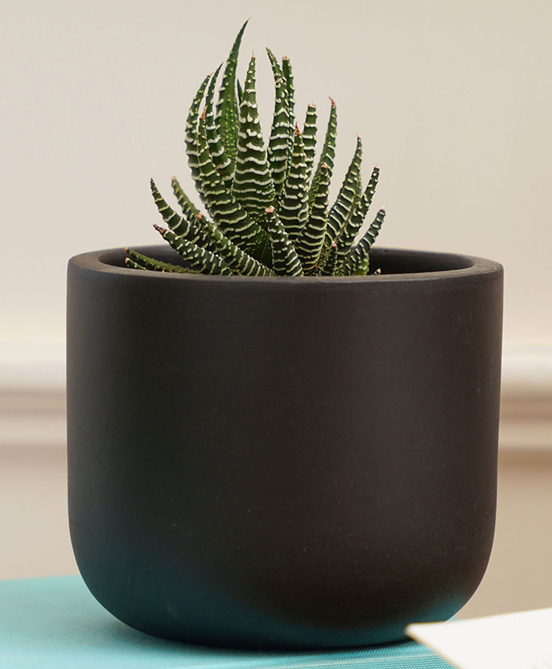 Purezento Jeanie Terracotta Planter- Black-image-40