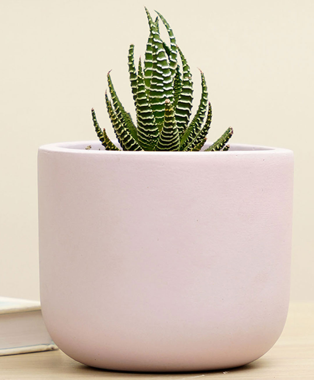 Purezento Jeanie Terracotta Planter- Light Purple-picture-19