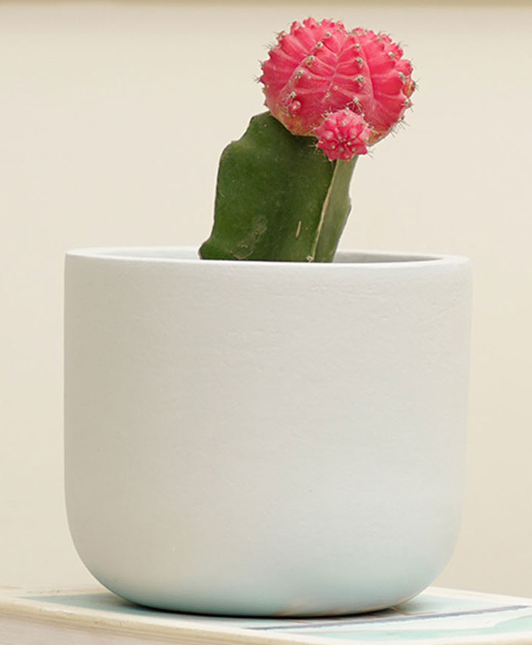 Purezento Jeanie Terracotta Planter- Sky Blue-picture-21