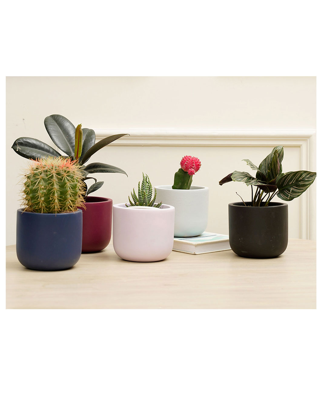 Purezento Jeanie Combo Terracotta Set of 5 Planters - Multicolour-image-41