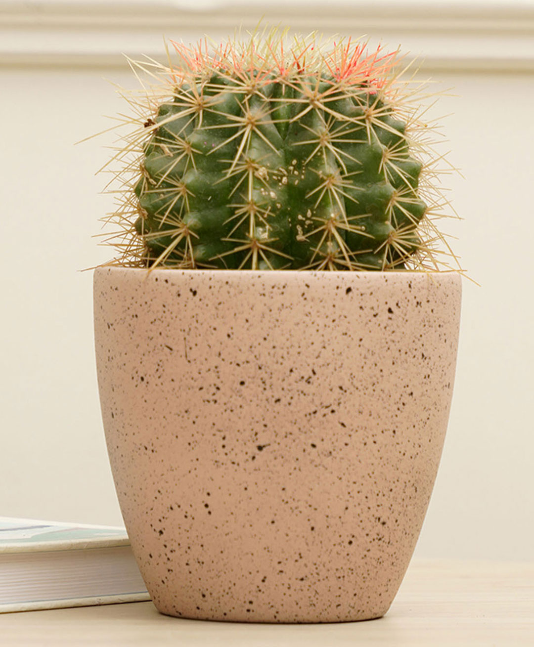 Purezento Marabelle Terracotta Planter- Rose Gold-picture-8