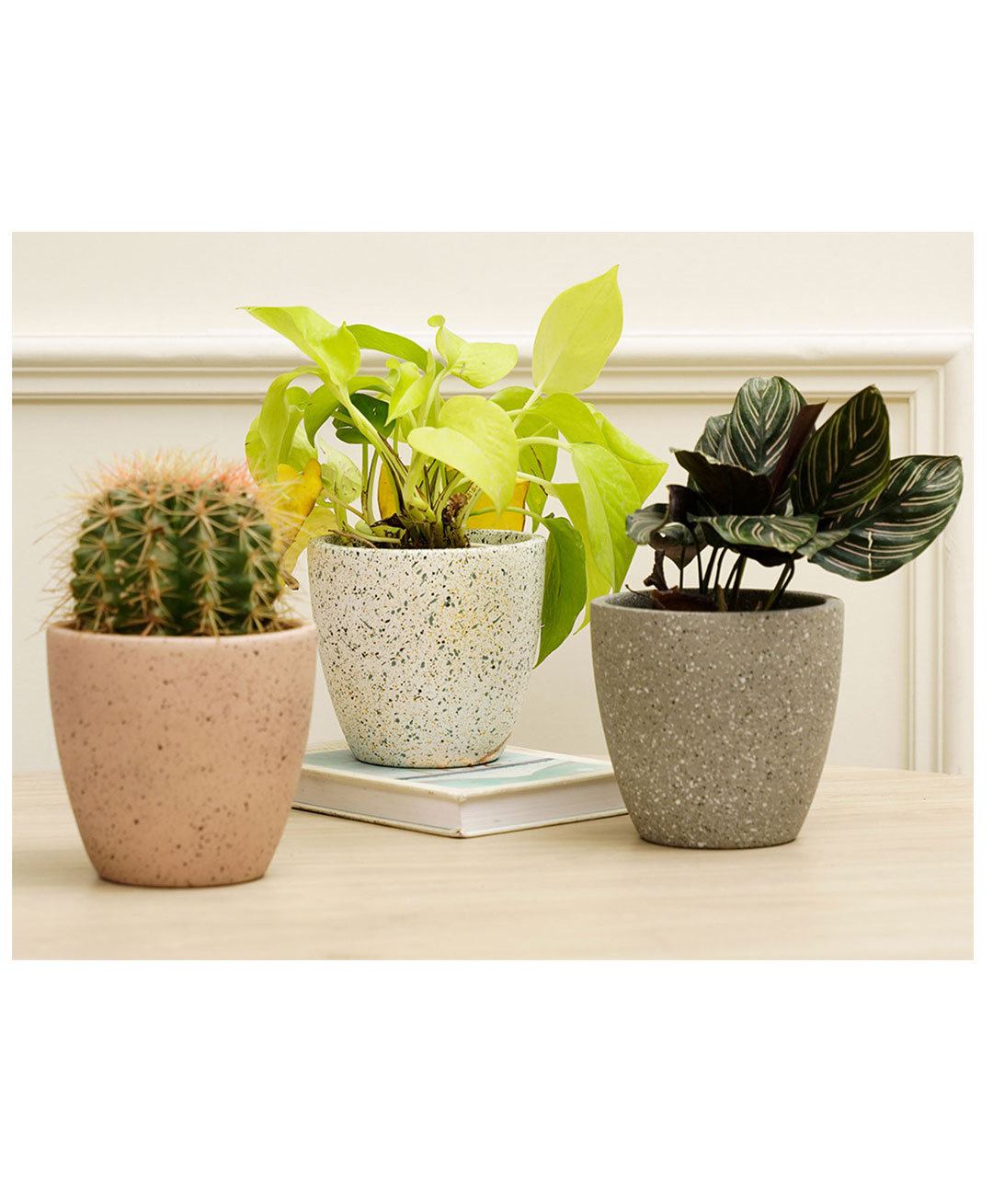 Purezento Marabelle Combo Terracotta Set of 3 Planters- Grey, Rose Gold, White-image-0