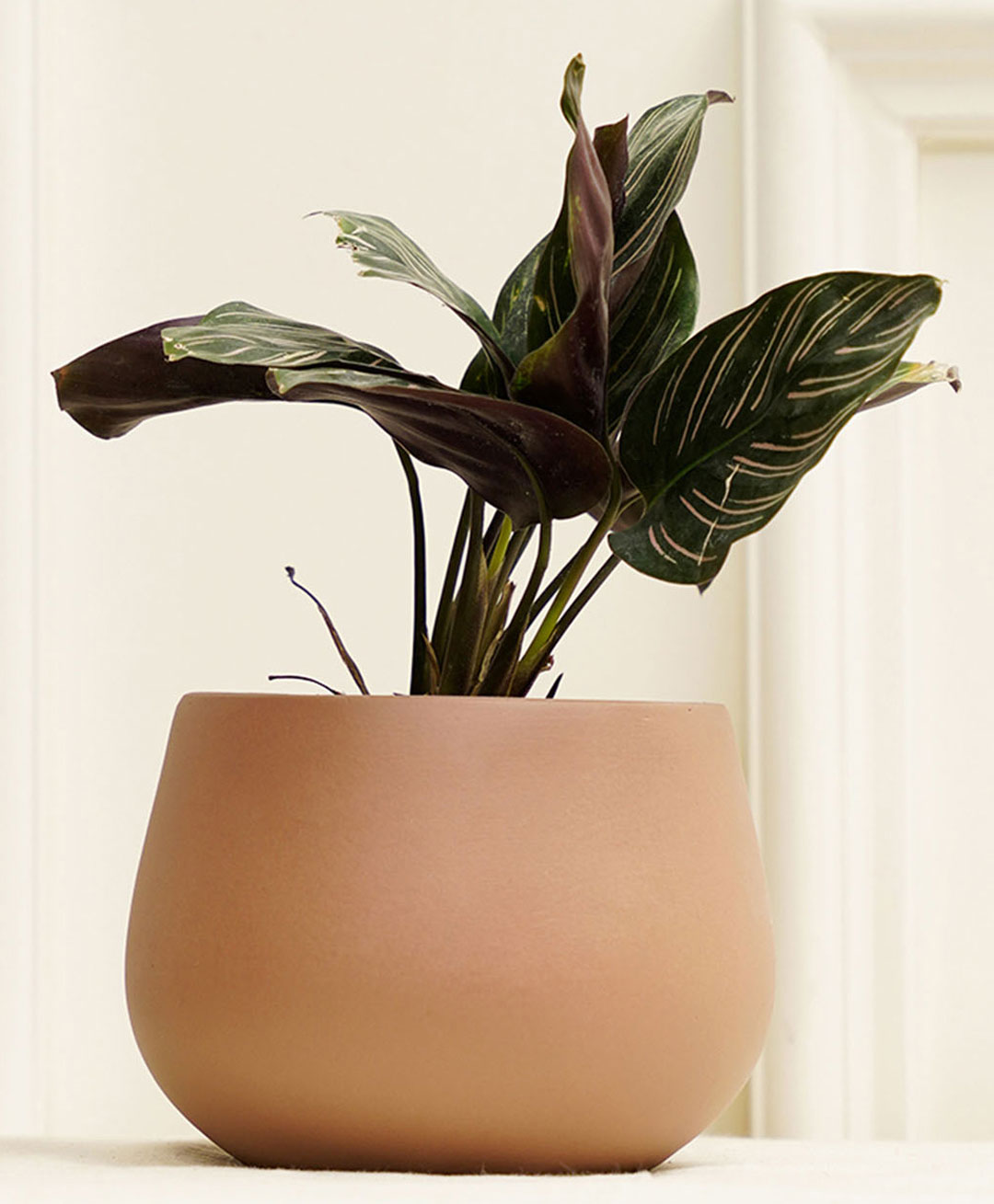 Purezento Mesa Terracotta Planter-Rose Gold-image-14