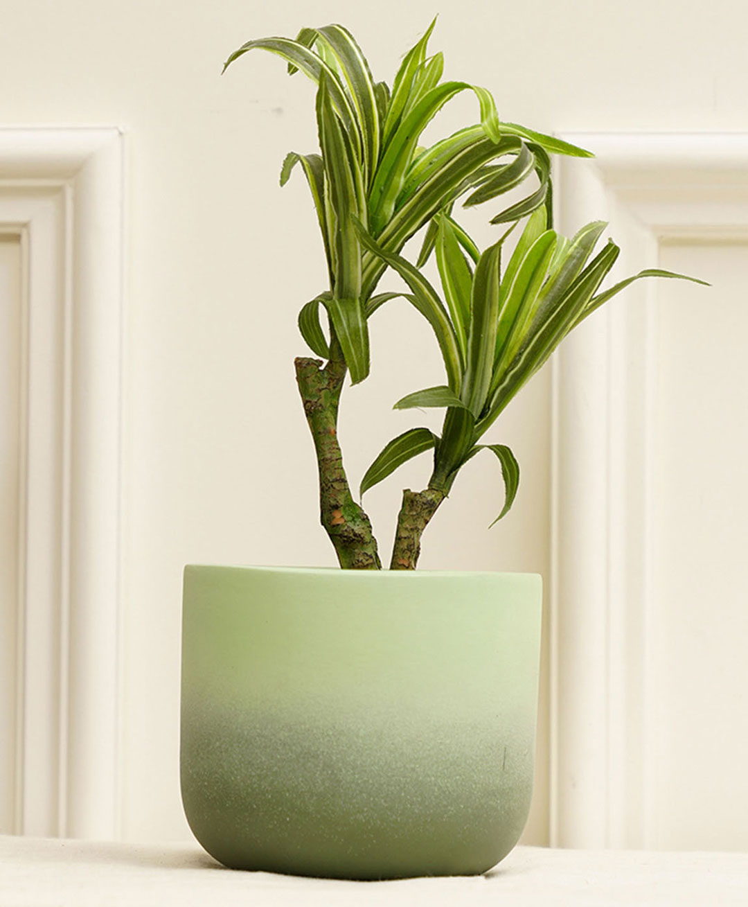Purezento Smoky Terracotta Planter - Green-image-19