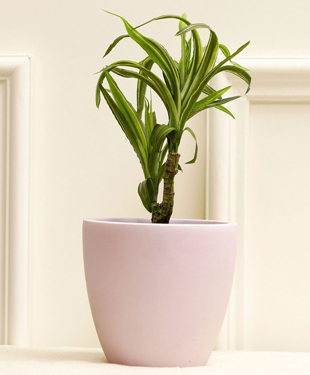 Purezento Tazio Terracotta Planter- Light Purple-image-37